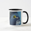 Search for cayman mugs Underwater