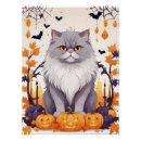 Search for funny animal posters Kitten
