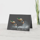 Search for duck birthday cards Waterfowl