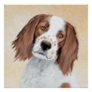 Search for setter painting posters Irish