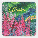 Search for fireweed stickers Flowers