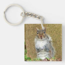 Search for squirrel lover key rings Nature
