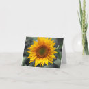Search for etc cards Flowers