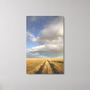 Search for crops art Sky