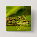 Search for water animals badges Frog