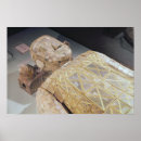 Search for burial posters Chinese