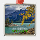 Search for banff christmas tree decorations Canada