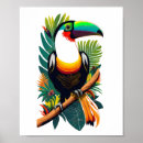 Search for toucan posters Illustration