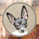Search for rat window decals Dog