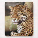 Search for jaguars mousepads Animal