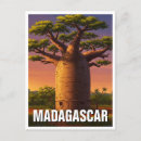 Search for baobabs Travel