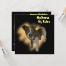 Search for pedigree cards Purebred
