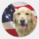 Search for golden retrievers stickers Golden retriever puppy