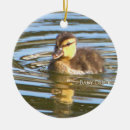 Search for duckling christmas tree decorations Animals