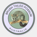 Search for nocturnal animals stickers Cute