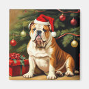 Search for decorated tree magnets Dog