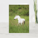 Search for horses cards Wild west