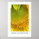 Search for 24x36 posters Nature