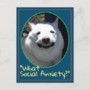 Search for funny dog picture postcards Smile