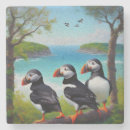 Search for puffin coasters Bird