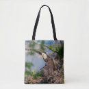 Search for bald bags Animal