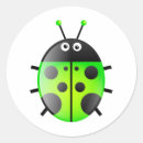 Search for beetle insect stickers Animals