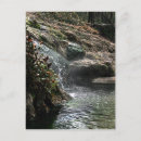 Search for falling water postcards Leaves