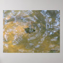Search for hatchling posters Animals