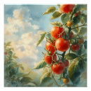 Search for vintage tomato posters Fruit