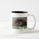 Search for smart mugs Red