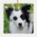 Search for border collie puppy christmas tree decorations Animal