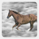 Search for outdoor activity stickers Outdoors