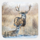 Search for buck and doe stickers Wildlife