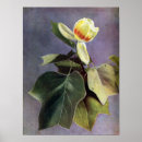 Search for vintage natural history posters Nature