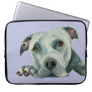 Search for pit electronics Animal
