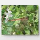 Search for dragonfly signs Wings