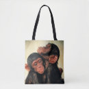 Search for chimpanzees bags Common chimpanzee