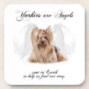 Search for yorkie angel Yorkshire