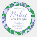 Search for blueberry stickers Summer