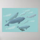 Search for beluga posters Blue