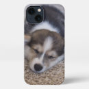 Search for corgi puppy iphone cases Dog