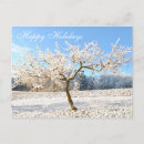 Search for x mas postcards Merry christmas