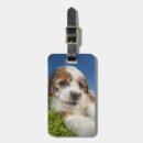 Search for canada luggage tags Outdoors