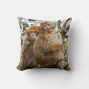Search for monkey cushions Cute