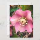 Search for spring flower cards Bloom