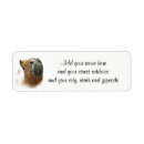 Search for funny horse return address labels Pony