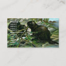 Search for beavers business cards Wildlife