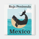 Search for baja magnets Peninsula