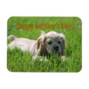 Search for cocker cards Blonde