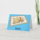 Search for dumpling cards Chinese